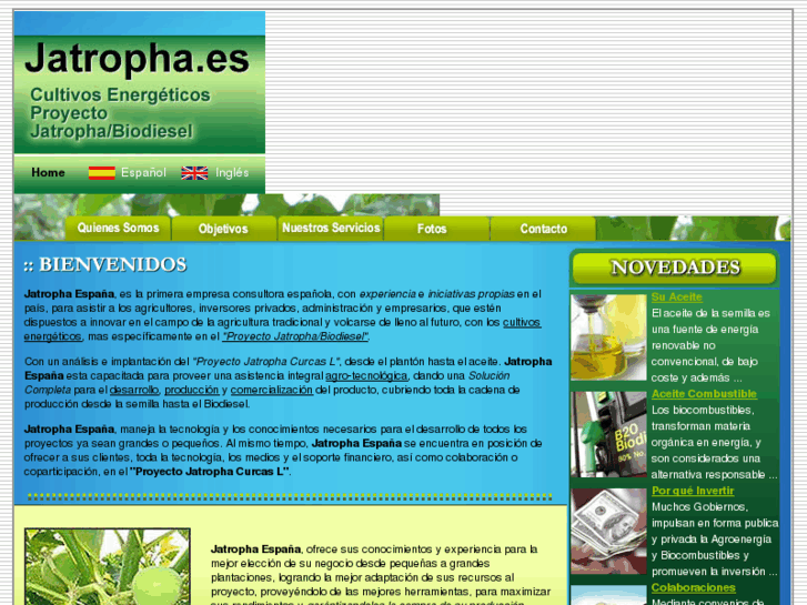 www.jatropha.es