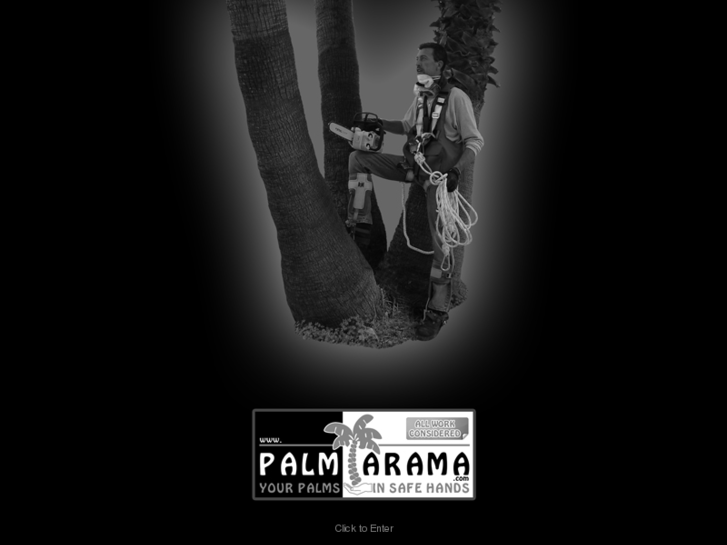 www.palmarama.com