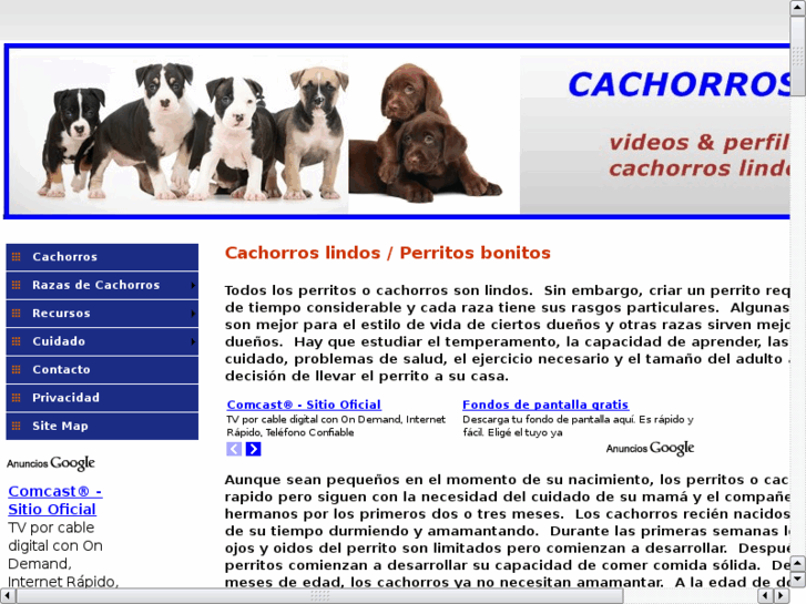 www.perroscachorros.com