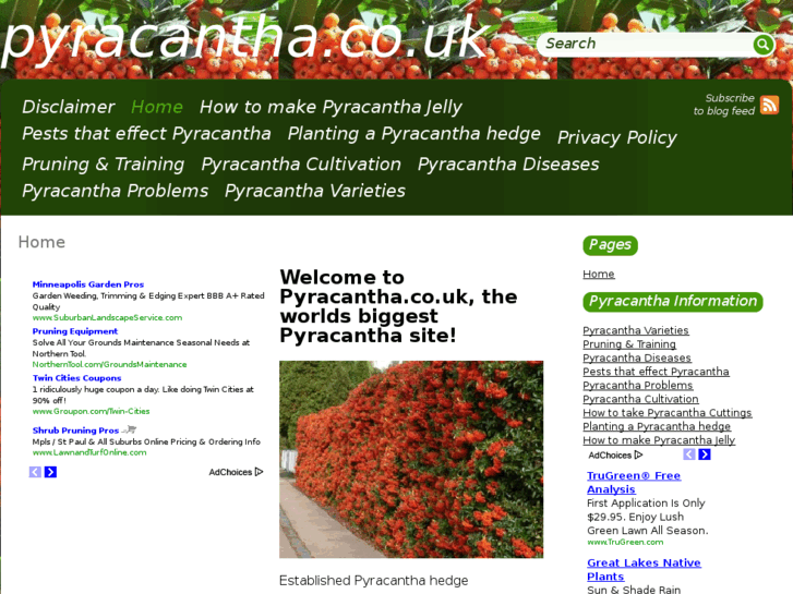 www.pyracantha.co.uk