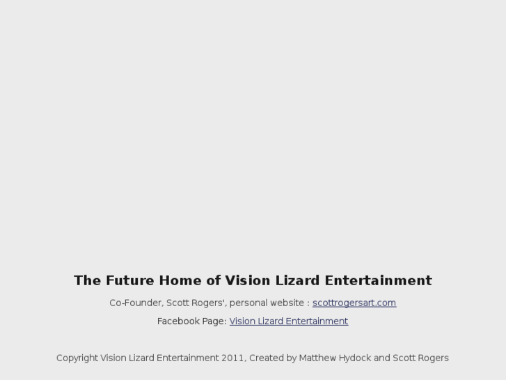 www.visionlizard.net