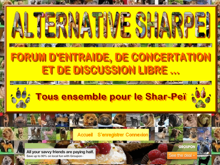 www.alternative-sharpei.org