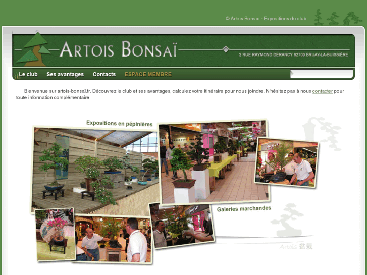 www.artois-bonsai.fr