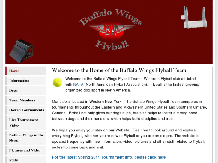 www.buffalowingsflyball.org