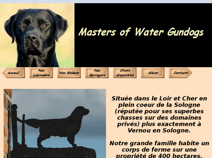 www.mastersofwatergundogs.com