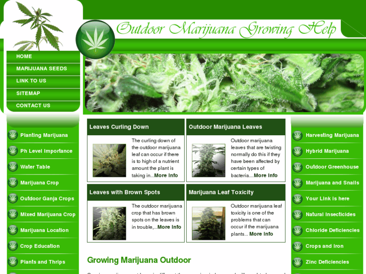 www.outdoormarijuanagrowinghelp.com