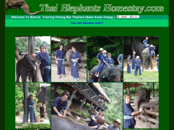 www.thaielephantshomestay.com