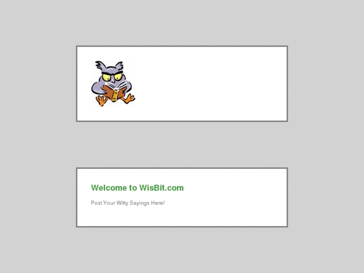 www.wisbit.com