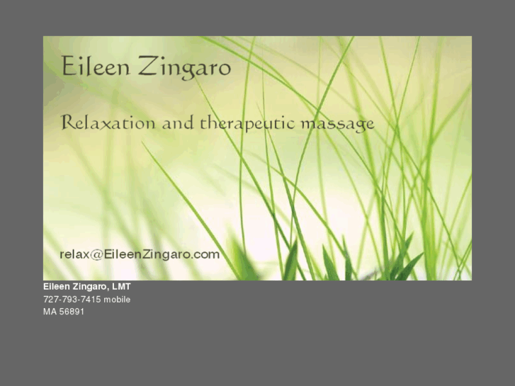 www.eileenzingaro.com