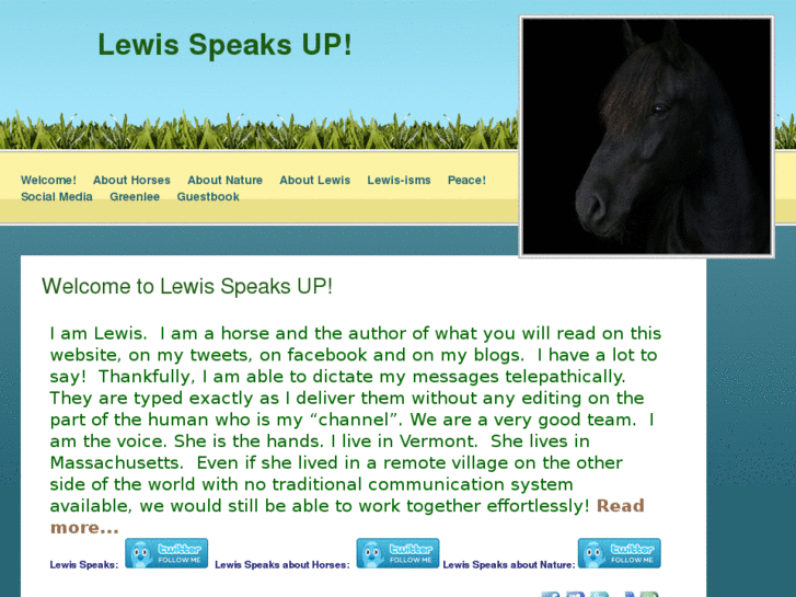 www.lewisspeaks.com