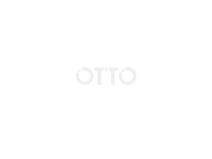 www.otto-ds.com