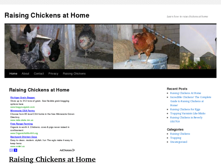 www.raisingchickensathome.org