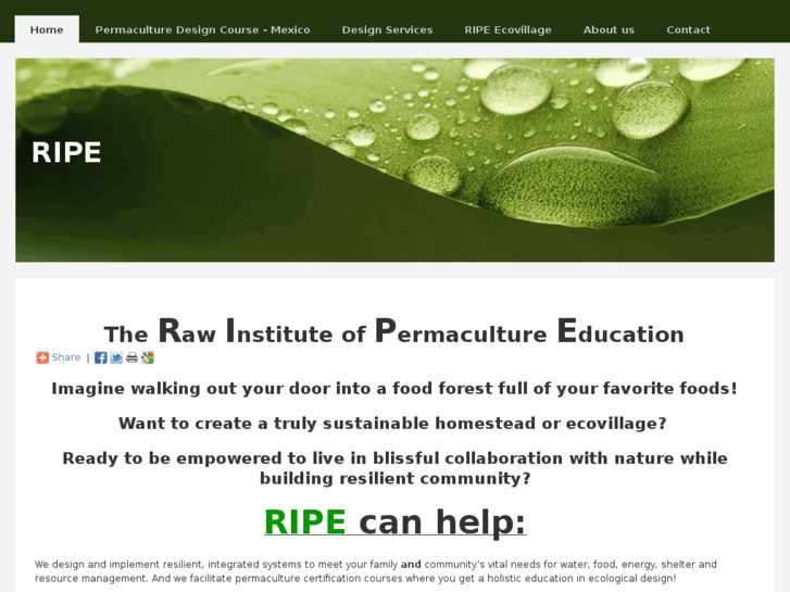 www.rawpermaculture.org