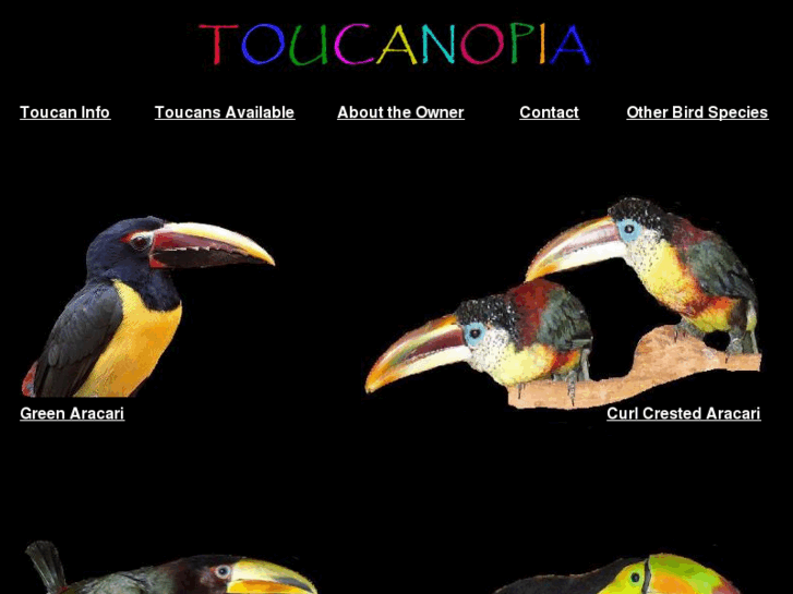 www.toucanopia.com