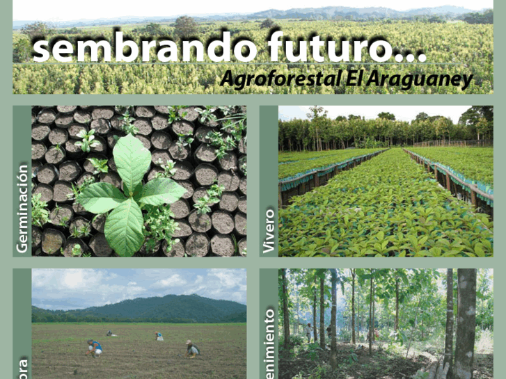 www.agroforestalelaraguaney.com