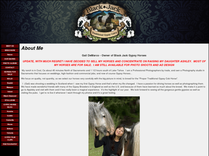 www.blackjackgypsyhorses.com