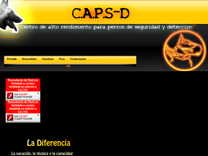 www.caps-d.com