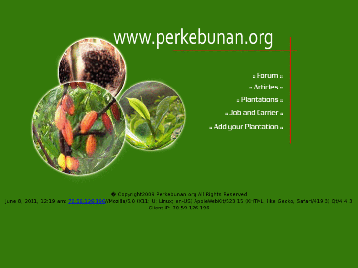 www.perkebunan.org
