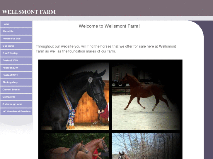 www.wellsmontfarm.com