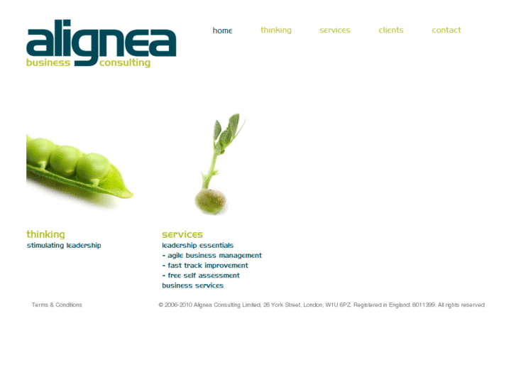 www.alignea.com