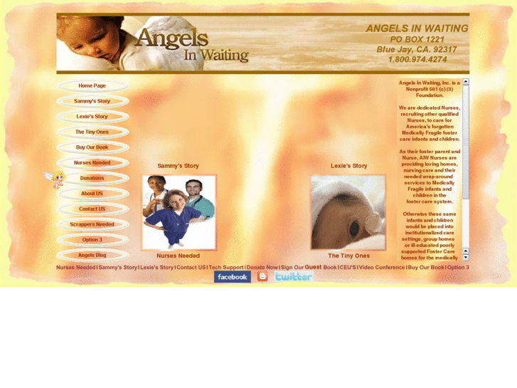 www.angelsinwaitingusa.org