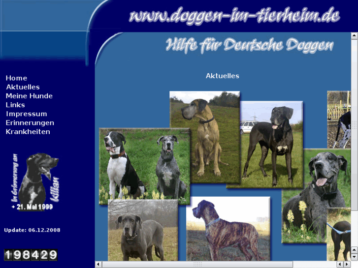 www.doggen-im-tierheim.de