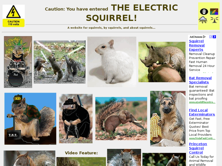 www.electricsquirrel.com