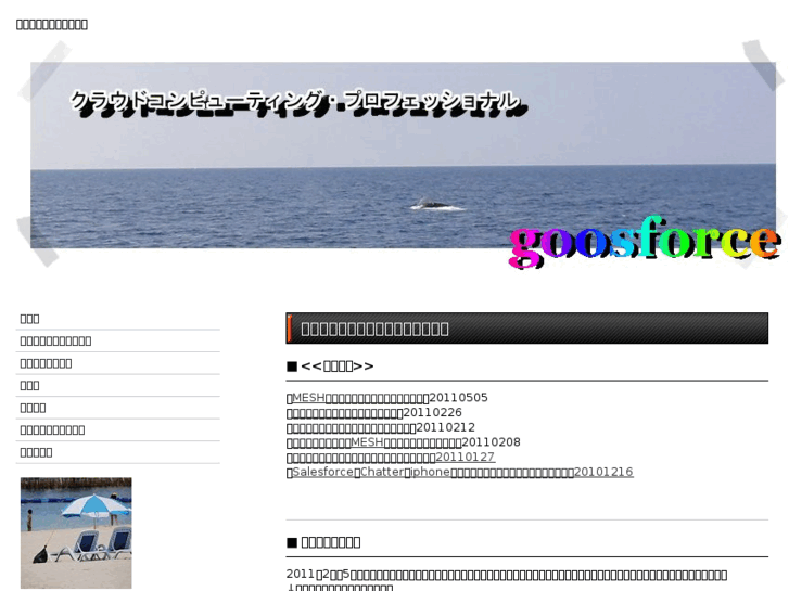 www.goosforce.net