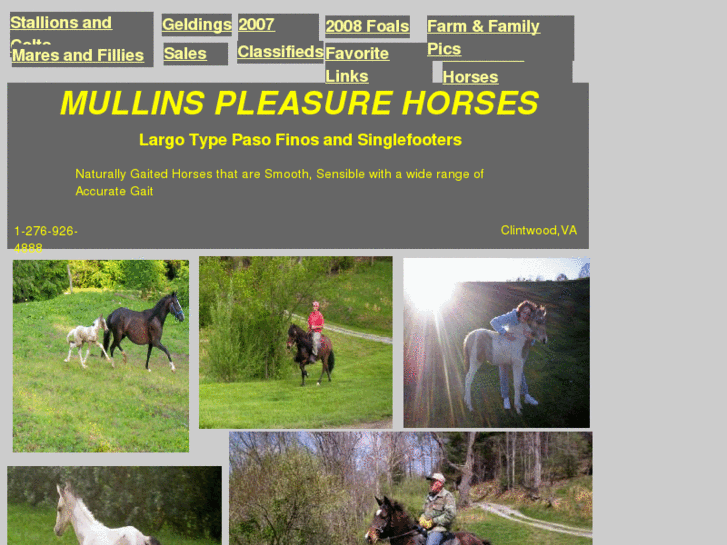 www.mullinspleasurehorses.com