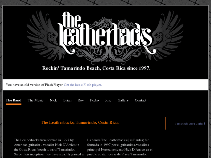 www.theleatherbacks.com