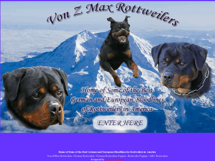 www.vonzmaxrottweilers.com