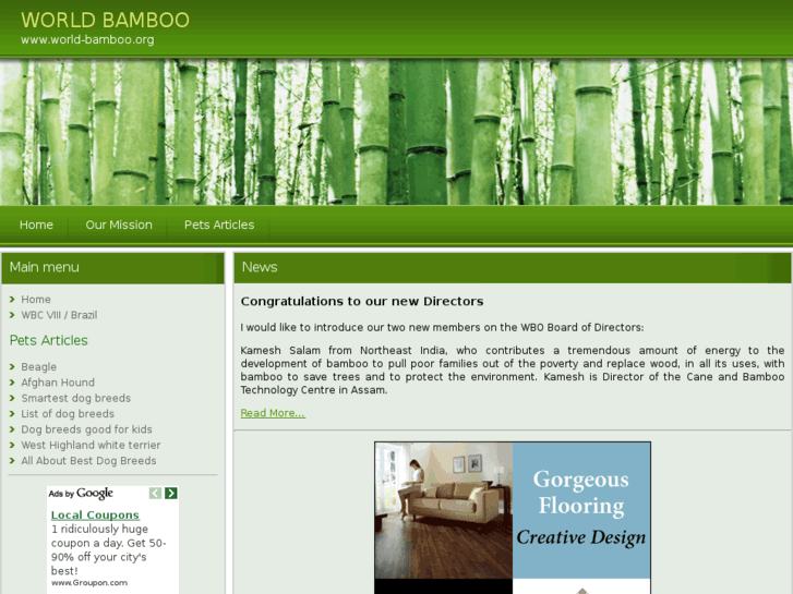 www.world-bamboo.org