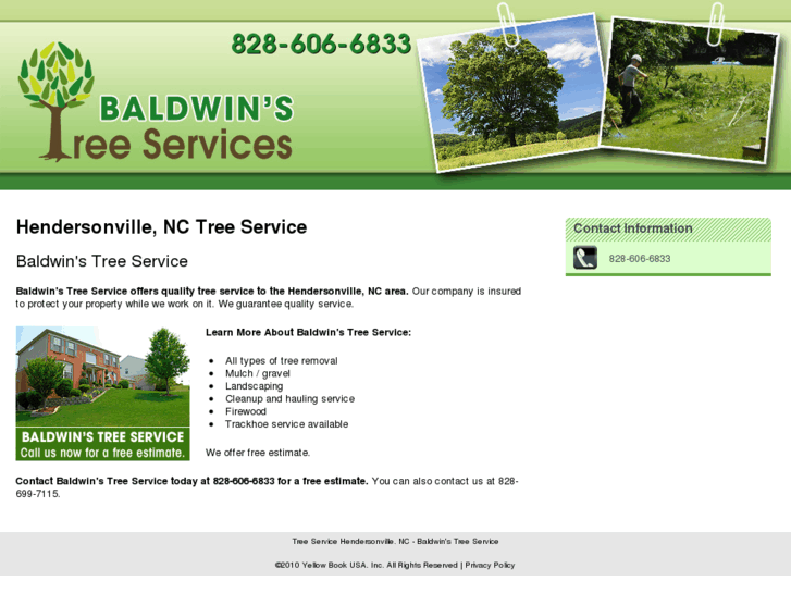 www.baldwinstreeservice.com