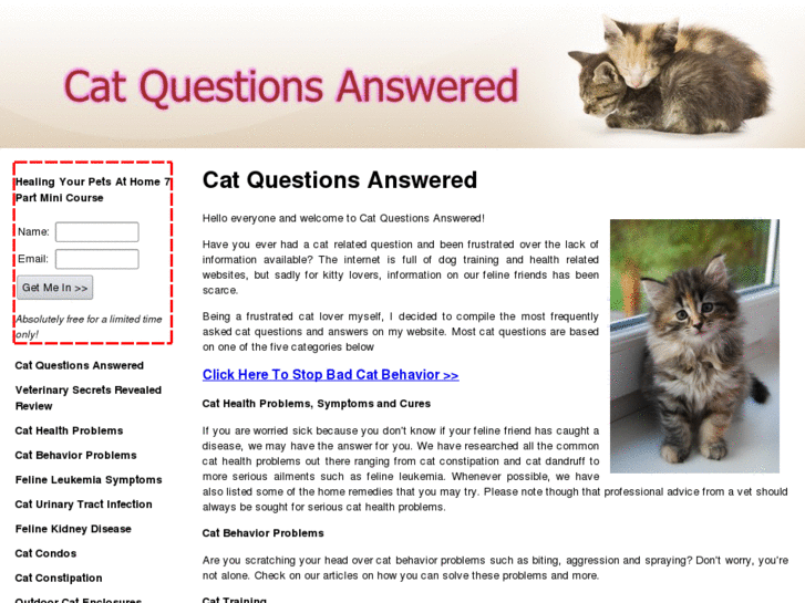 www.catquestionsanswered.com