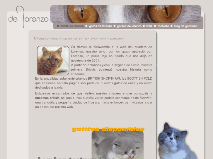 www.gatoweb.com