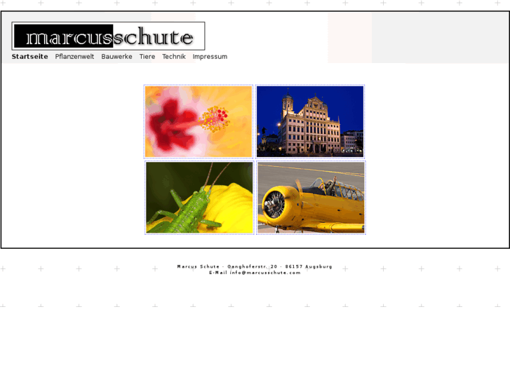 www.marcusschute.com