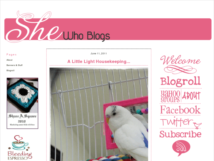 www.shewhoblogs.com