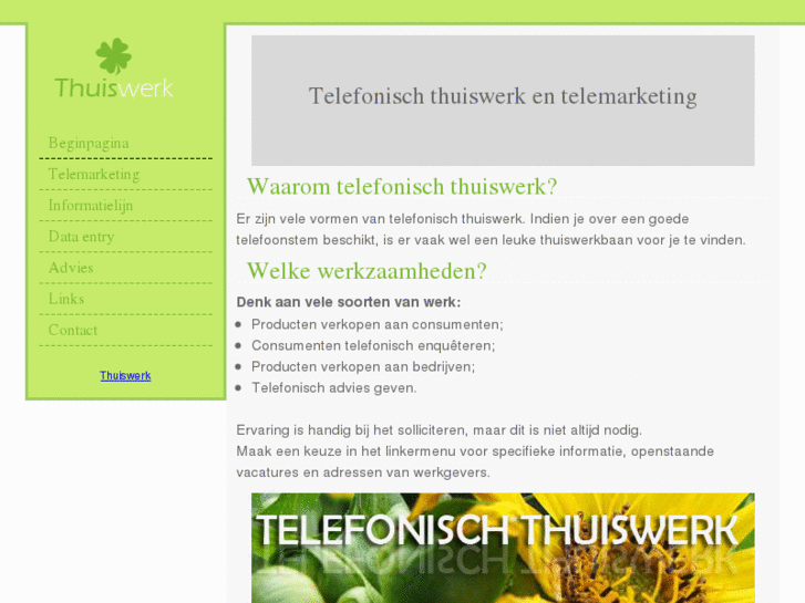 www.telefonischthuiswerk.nl