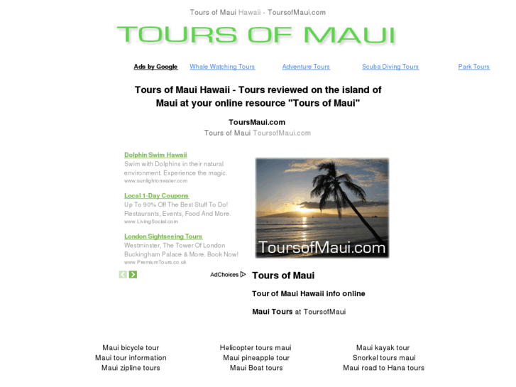 www.toursofmaui.com