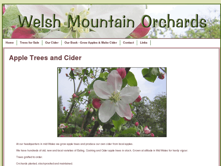 www.welshmountaincider.com