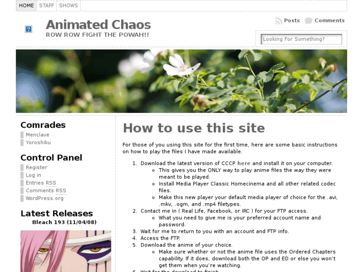 www.animatedchaos.org