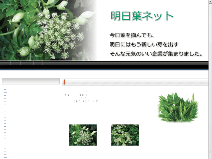 www.ashitaba.cn