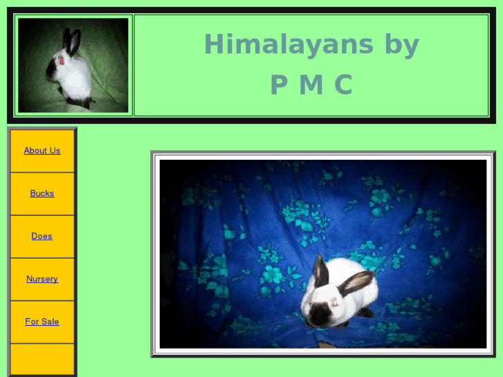 www.himalayansbypmc.com