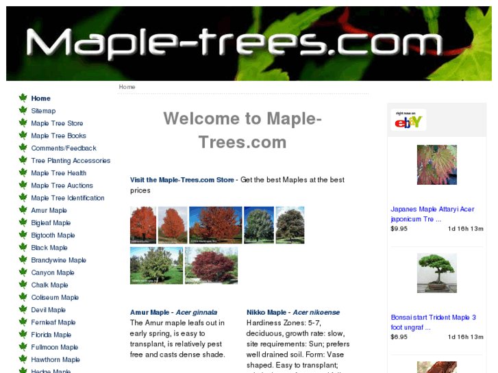 www.maple-trees.com