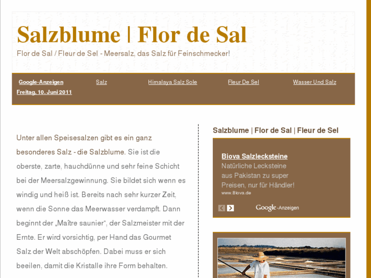 www.salzblume.net