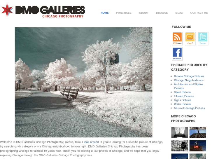 www.dmogalleries.com