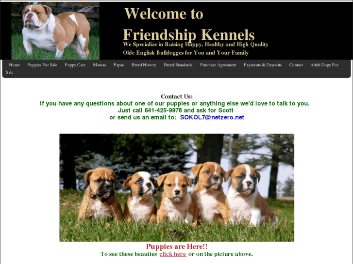 www.freindshipkennels.com