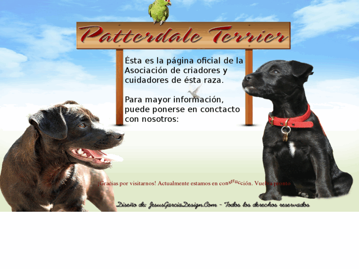 www.patterdaleterrier.es