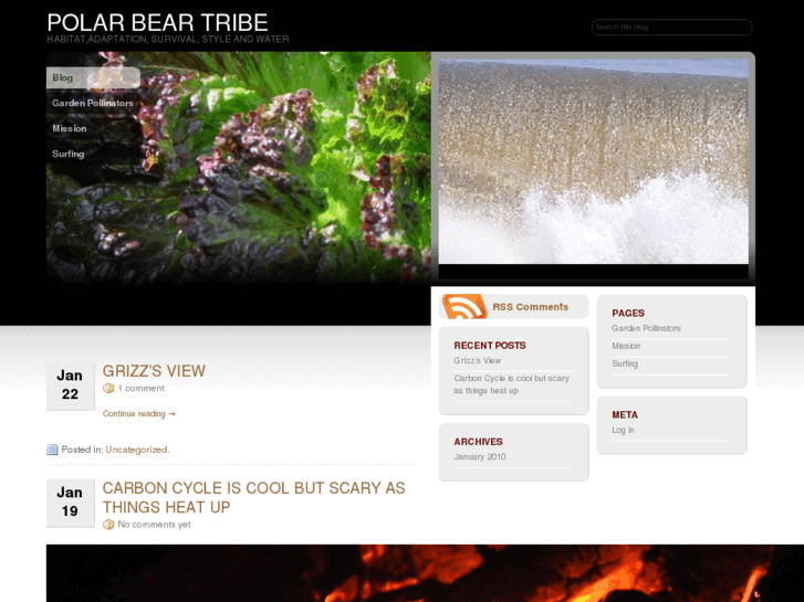 www.polarbeartribe.com