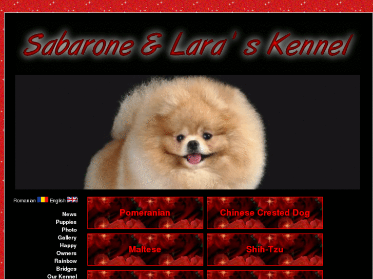 www.sabaronekennel.com